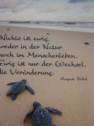 Spruch Ewigkeit Auch Die Liebe Ist Nicht Ewig Essen Ruhr