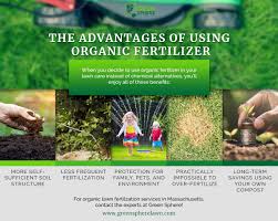 Organic fertilizers are often rich in nutrients and extremely beneficial for plants. Professional Fertilizer Services Grow Your Lawn Naturally Swazy Alexander Landscaping