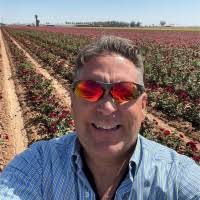 60+ "Sheahan" profiles