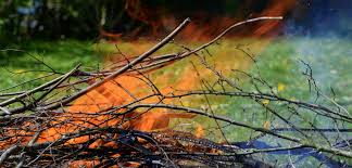 Löschen lässt sich eine feuerstelle mit wasser oder durch abdecken mit sand. Feuer Machen Im Garten Ist Das Erlaubt