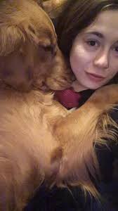 This is Rex. He will be 3