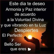 Armonia Amor Paz Reflexiones Pensamientos Frases Mensajes De Paz Ya Desperte Frases Positivas