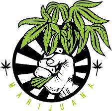 Nah, karena itulah kami sudah merangkum koleksi terpopuler tentang animasi bergerak daun berjatuhan yang dapat kamu. We Love Marijuana Yes By Febrian2502 Fiverr