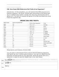 Having two identical alleles for a given gene c. Cw How Does Dna Determine The Traits Of An Organism