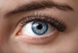 Learn how to do eyebrows for your face shape and how to make them perfect. Eye Twitching During Pregnancy Causes Signs And Remedies