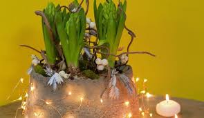 Art floral,bouquets et compositions florales de stuhanne. Fleur Nouvel An Composition De Jacinthes A Faire Soi Meme Cote Maison