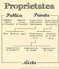 Dreptul de proprietate privată este un drept absolut. Pluralism In The Hive