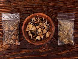 How Long Does Psilocybin Mushrooms Stay In Your System