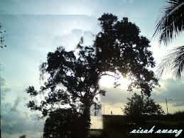 Keindahan Alam Semulajadi Natural Beauty Nature Beauty Nature