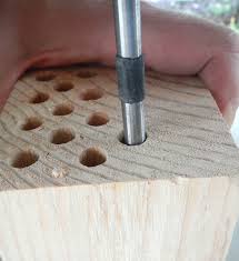 Check spelling or type a new query. Make A Mason Bee House Hobby Farms