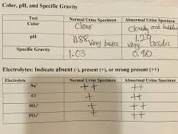 Solved I Need To Write A Discussion For My Lab Report It Chegg Com