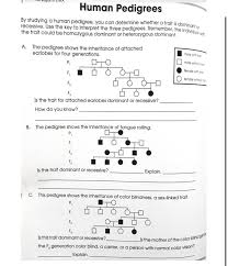 Maybe you would like to learn more about one of these? Human Pedigree Questions Brainly In