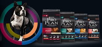 Proplan Kopek Mamasi Markasini Neden Onermiyoruz Kopek Hakkinda Her Sey