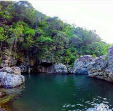 Charco El Moron En Ciales P R Puerto Rico Puerto Rican Culture Places To Visit