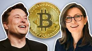 Bitcoin To 500k Why Elon Musk Cathie Wood Are Investing Youtube