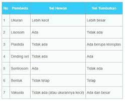 Empat perbedaan sel hewan dan sel tumbuhan. Carilah Gambar Sel Hewan Dan Tumbuhan Inilah Perbedaan Sel Hewan Dan Sel Tumbuhan Lengkap Tabel Fungsi 12 Perbedaan Sel Tumbuhan Sel Hewan Gambar Hewan