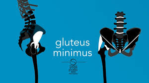 Check spelling or type a new query. Glute Stretches