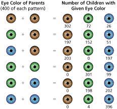 Pin On Genetics