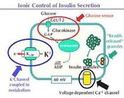 In wastewater treatment are made. Does Diffusion Require A Partially Permeable Membrane Quora