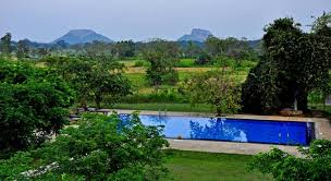 Sigiriya sigiriya, sri lanka, get directions. Kassapa Lions Rock Hotel Sigiriya Sri Lanka