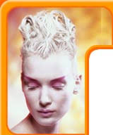 Taylor Nicole Hair Salon & Spa