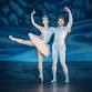 The Nutcracker