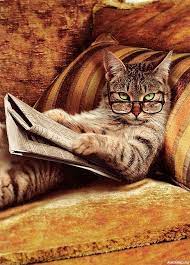 kartinka 600x835 kartinka s umnym polosatym kotom v ochkah s gazetoj v lapah zhivotnye koty prikol ochki gazeta foto zhivotnye kot koshki