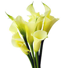 Remembering Naomi May Maheu