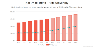 Find Out If Rice University Is Affordable For You