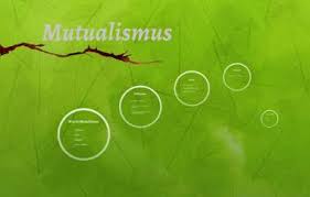 We did not find results for: Mutualismus By Dominik Lange