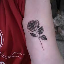 Check spelling or type a new query. Hanbanana21 Via Twitter Got My Rose Tattoo Done Inspired By Shawnmendes And His Song Roses I Love It I Know You Tattoos Rose Tattoo Shawn Mendes Tattoos