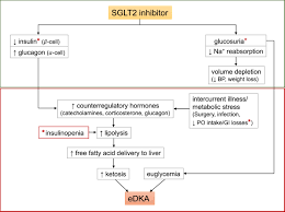 Diabetic ketoacidosis (dka) occurs with severe hyperglycemia and ketoacidosis. Sglt2 Inhibitor Induced Euglycemic Diabetic Ketoacidosis A Case Report Kidney Medicine