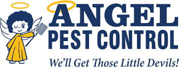 Pest control protects you, your family, your home and your sterling pest control services pvt. Angel Pest Control Pest Control Services Wildlife Control Services Termite Control Services Seguin Area Chamber Of Commerce Tx
