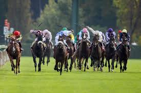 Dictionnaire mots de 11 lettres. Comment Choisit On Le Nom Des Chevaux De Course