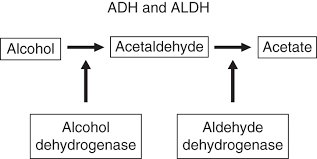 Background To Understanding Part I Edwards Treatment Of