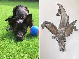 Check out our funny pet portrait selection for the very best in unique or custom, handmade pieces from our pet portraits shops. I Have Never Drawn In My Life But I Am Doing Crappy Pet Portraits To Raise Money For Charity 30 Pics Bored Panda