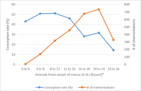 Timing Is Of Essence In Cow Heat Detection Afimilk