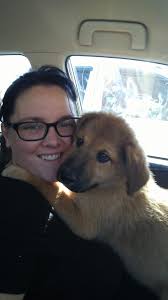 Hey guys spirit is will missing if anybody sees him please contact me my  dad is a wreck without his best friend