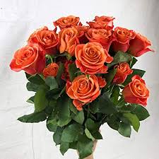 Up to 30% off with amazon coupon codes and promos. Amazon Com Greenchoice Flowers 24 Orange Roses Fresh Cut Flowers Fresh Bulk Flowers Birthday Flowers 2 Dozen 20 Inch Long Stem Flower Cut Direct From Farm Grocery Gourmet Food