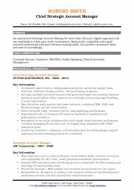 Are you one of those strategic planners who rely on excel spreadsheets? Strategic Account Manager Resume Samples Qwikresume