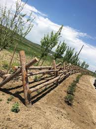 Wood split rail fences are very simple and interesting to install even on your own. Behind The Design At The Fairgrounds The Iconic Jackleg Buck Rail Fence Colorado Landscape Architecture Firm Design Concepts