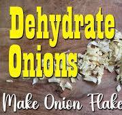 Dehydrating Onions for Onion Flakes or Powder