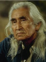 Understanding animals through communication and empathy