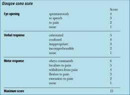 The glasgow coma scale (gcs) is used to describe the general level of consciousness in patients with traumatic brain injury (tbi) and to define broad categories of head injury. What Is Glasgow Coma Scale Pdf