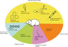 The cells will be utilized in. Animal Models Bridging Cross Species Variation Through Animal Biotechnology Sciencedirect