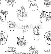 A variety of decorative cactus with prickles and without. Seamless Pattern With Various Hand Drawn Succulents And Cactus In Plant Pots Black And White Vector Illustration On White Canstock
