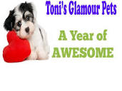 Toni's Glamour Pets (tonisglamourpet) - Profile | Pinterest