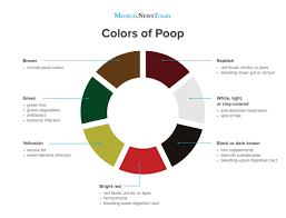 They're mainly used to treat asthma and chronic obstructive pulmonary disease (copd). Why Is My Poop Green Stool Colors Explained