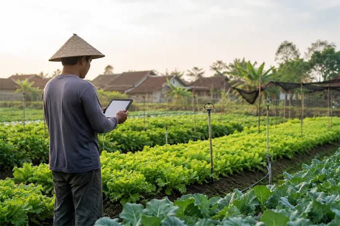 Pertanian Modern: Cara Cerdas Tingkatkan Hasil Panen