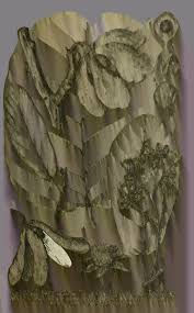 Image result for Monotes dasyanthus